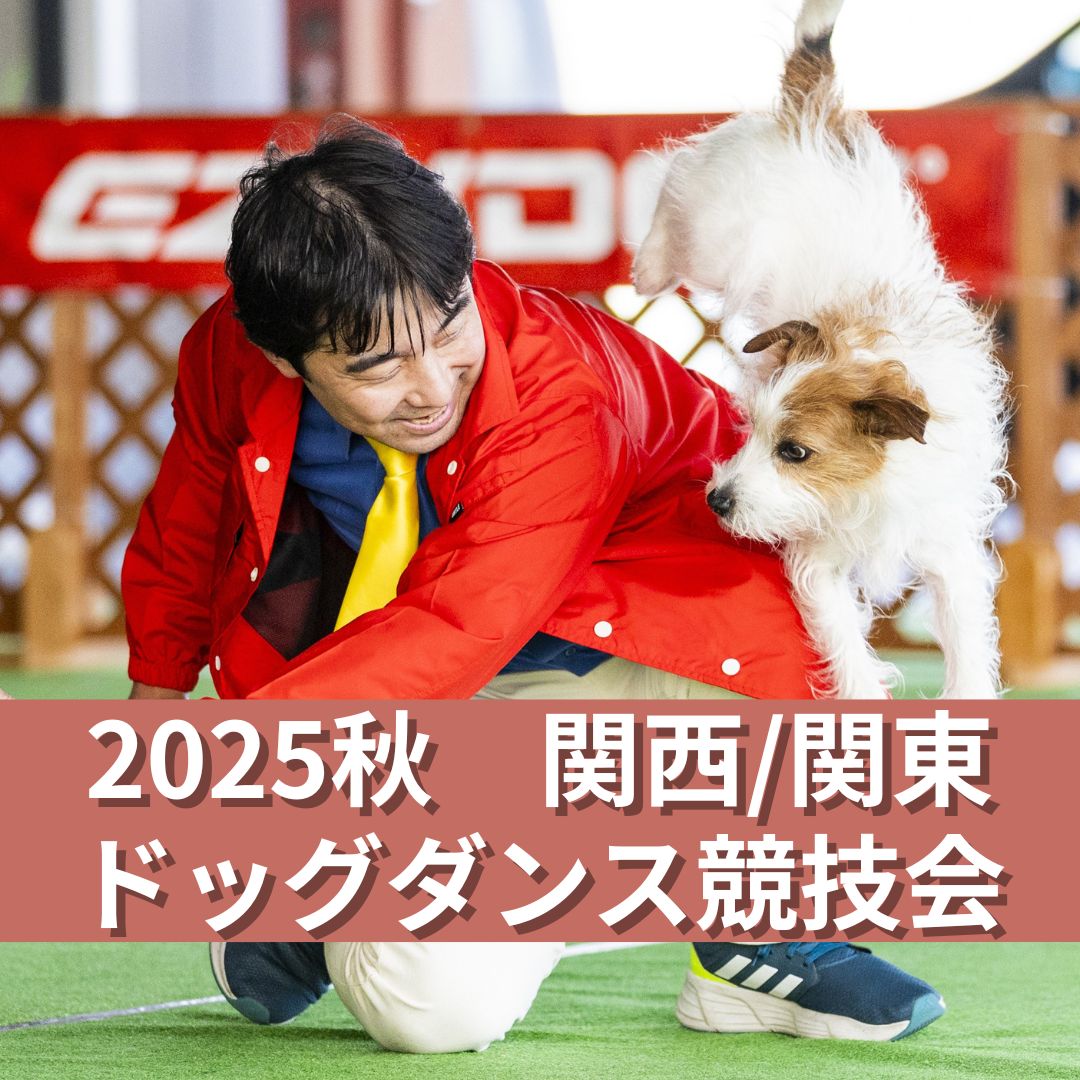 2025秋　関西/関東ドッグダンス競技会