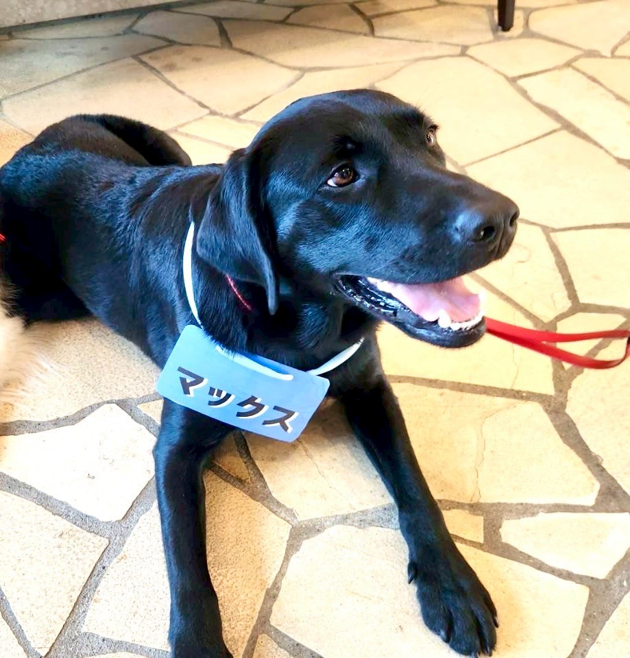 MAX