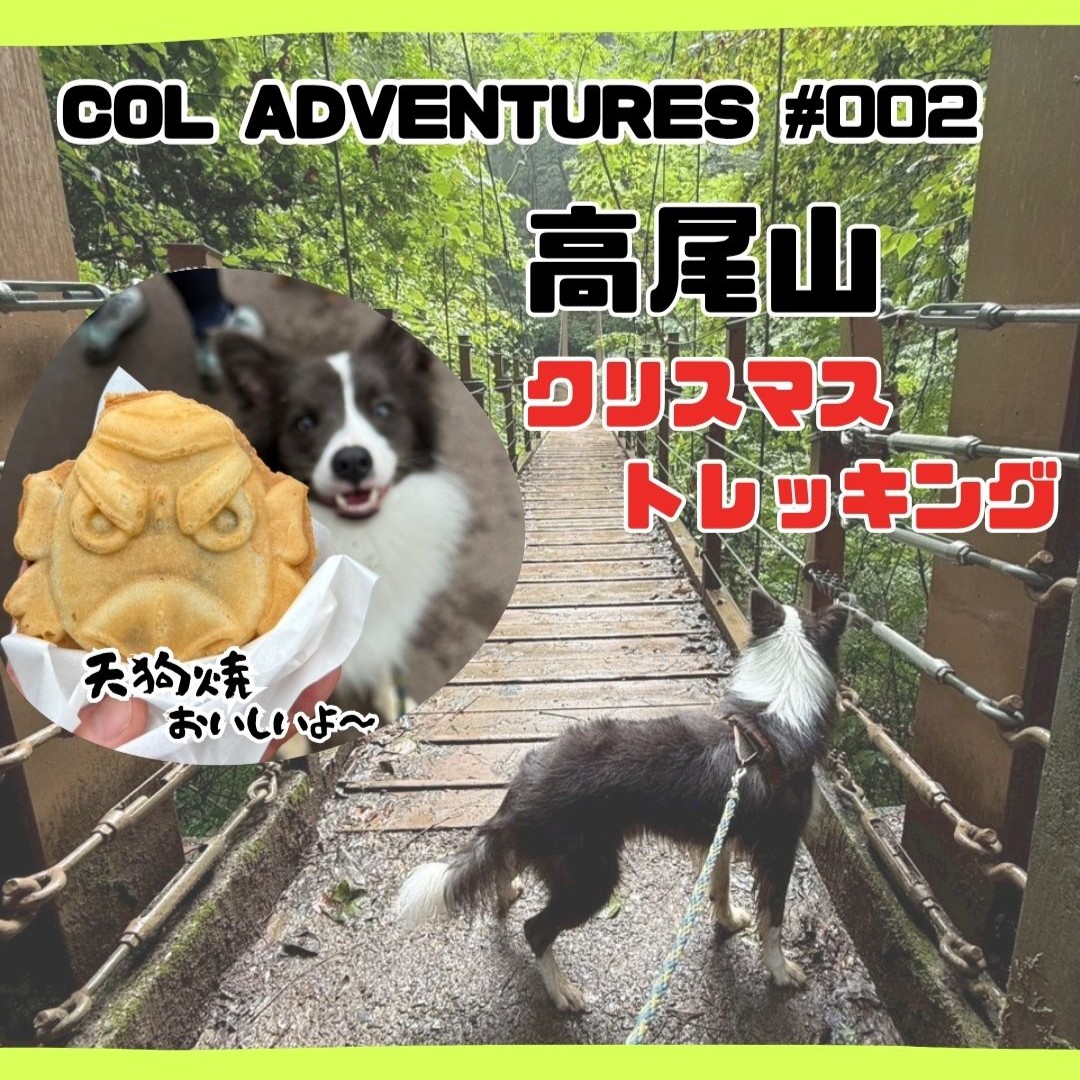 COL ADVENTURES #002　高尾山クリスマストレッキング