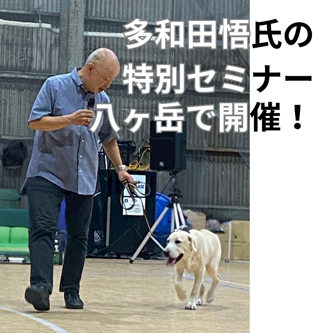 多和田悟氏の特別セミナー＆ディナーin八ヶ岳